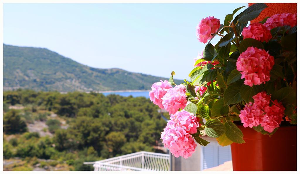 Villa Marica Primosten Primošten Exterior foto